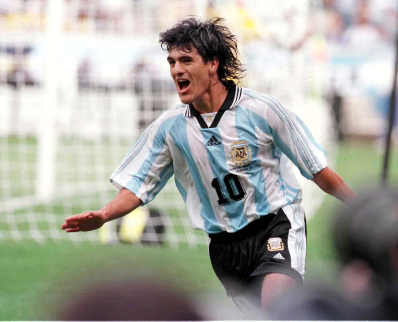 潘帕斯雄鹰长啥样,潘帕斯雄鹰长什么样