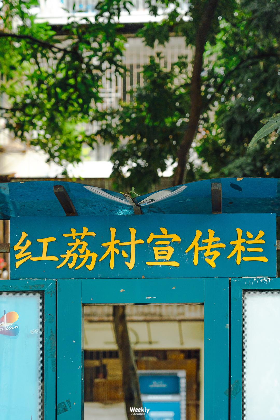 好好走过红荔路，才知道住福田有多让人羡慕