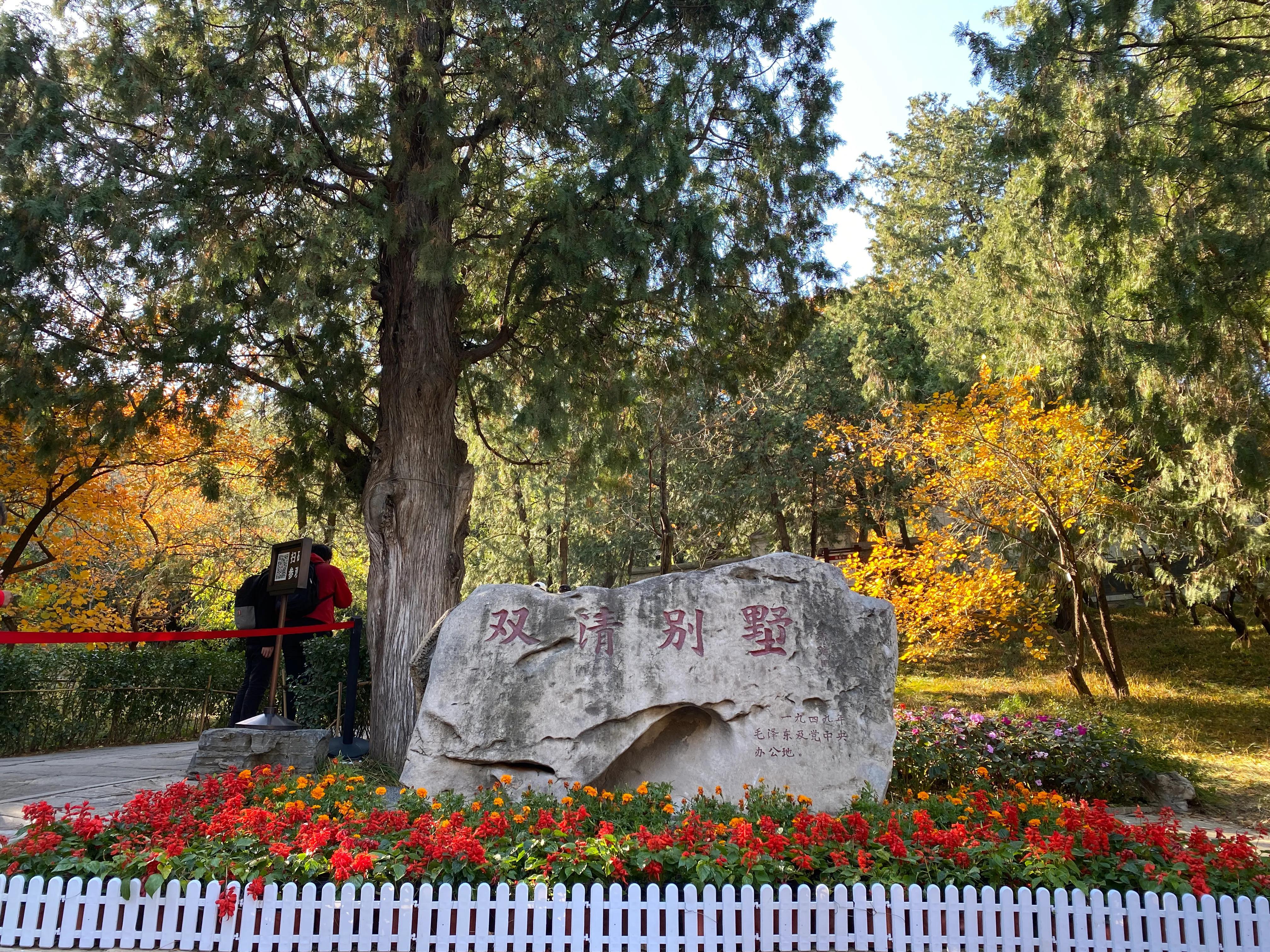 香山风景区打卡攻略,北京香山公园打卡