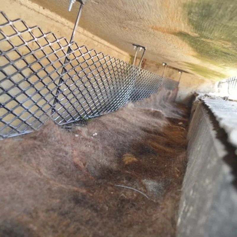 用头发可以清理石油爆上热搜!秃头网友狂喜:哈哈天生我材必有用