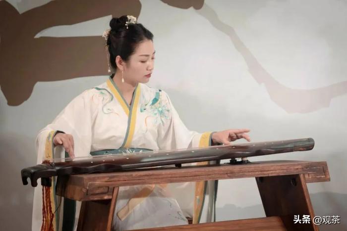 时光茗享会第33站丨福鼎白茶合天下