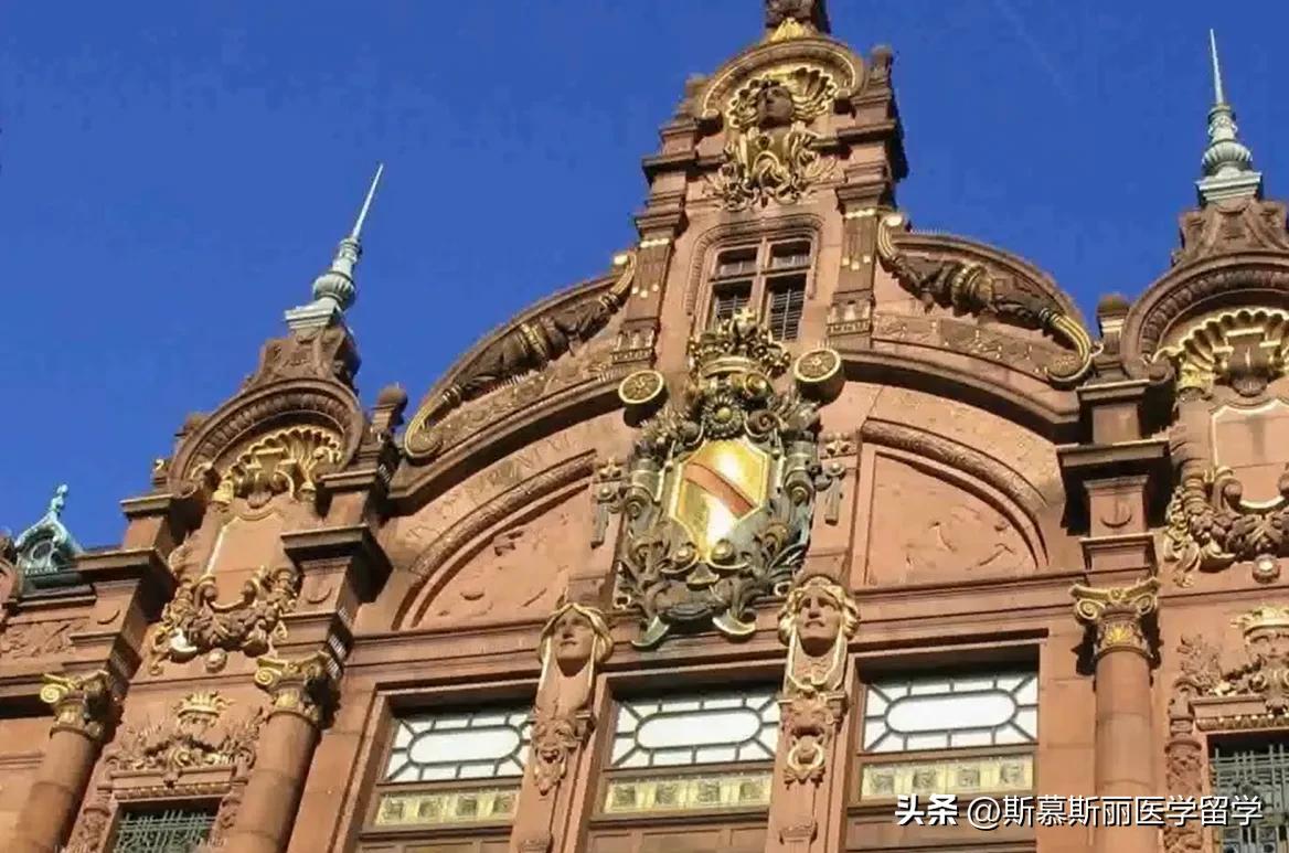 德国顶尖学校海德堡大学攻读医学博士