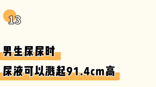 羞耻又湿漉漉的男性小知识…又增加了！（女生必看）