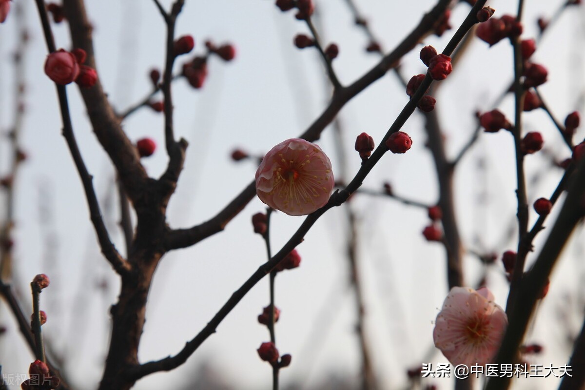 前列腺炎肛门坠胀反复怎么缓解,前列腺炎为什么反复时症状加重