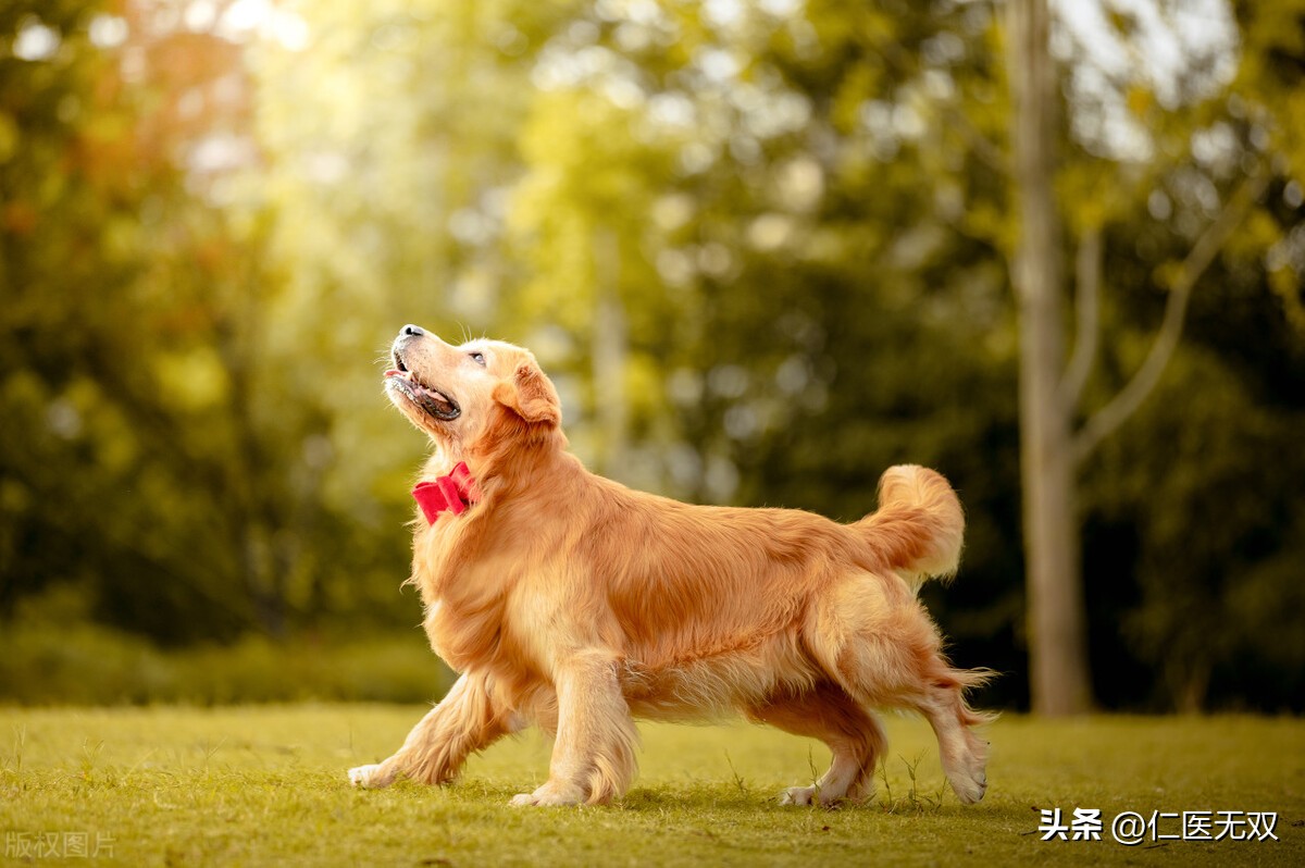 哮喘十大病因,哮喘严重的人需要注意什么