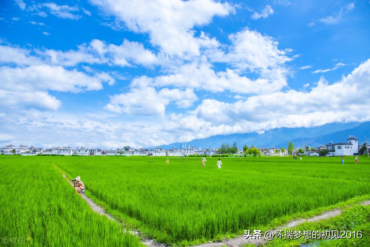 婆婆带娃儿不睡午觉,婆婆带孩子天天叫苦叫累还不能说