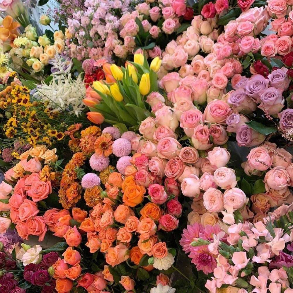 情人节不花钱送什么好,情人节不收礼怎么回事