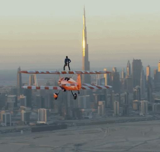 迪拜养狮子的土豪是谁,迪拜土豪养的老虎和狮子谁厉害