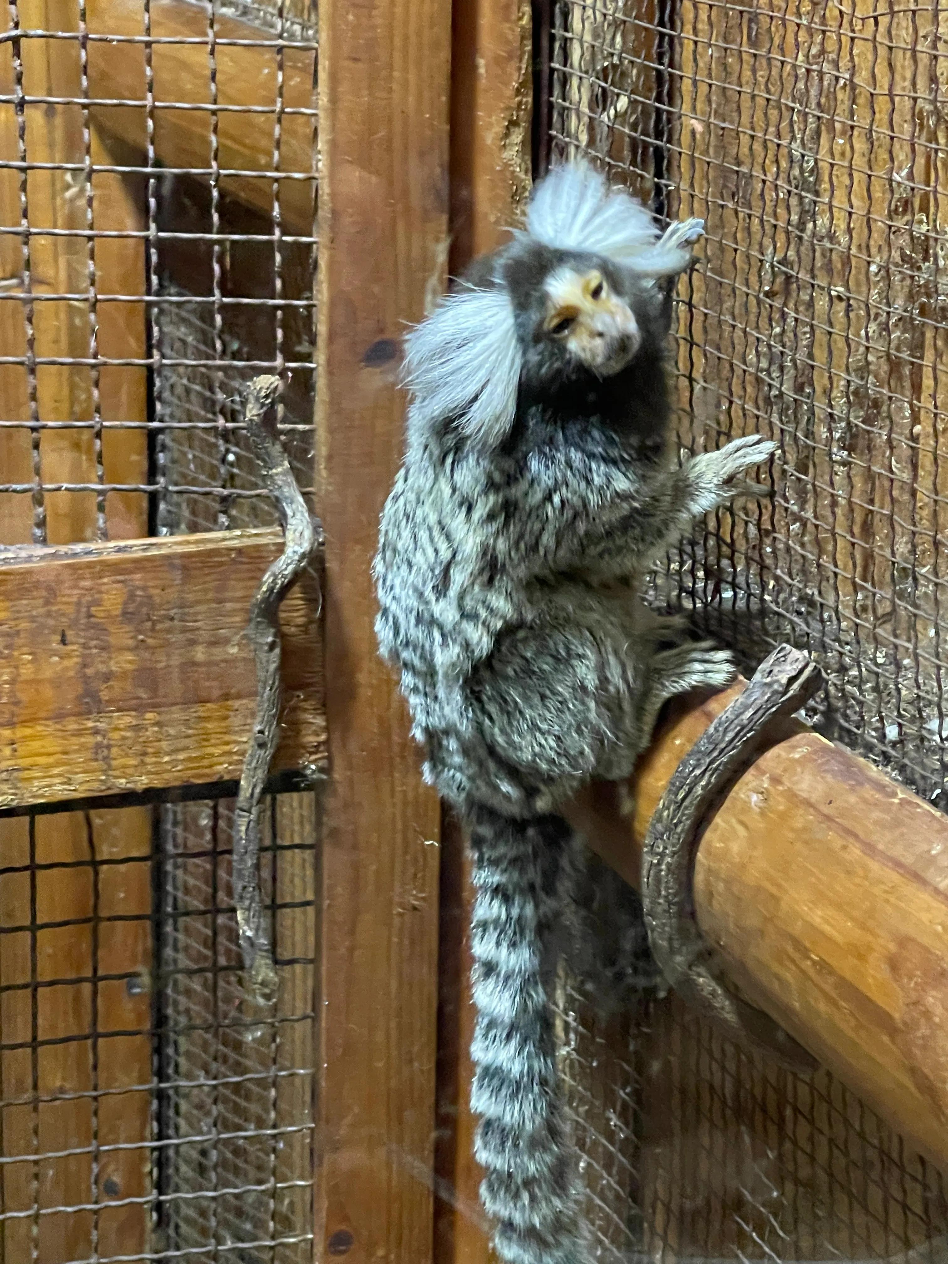 参观上海大自然野生昆虫馆感想,上海昆虫馆门票多少