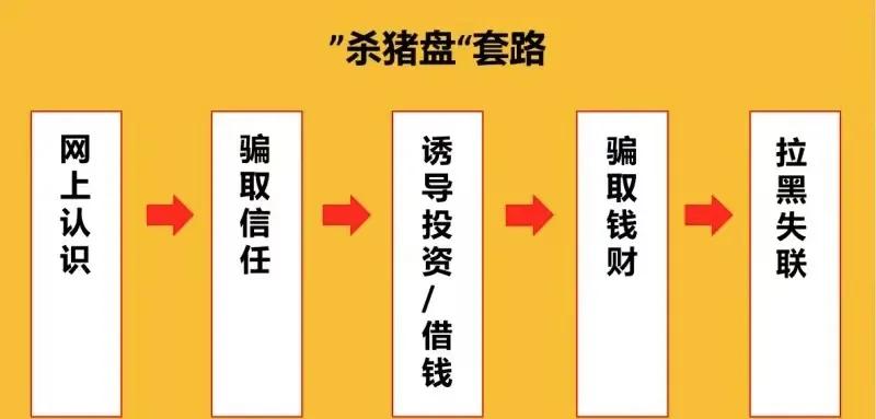 情感杀猪盘,情感杀猪盘新骗局