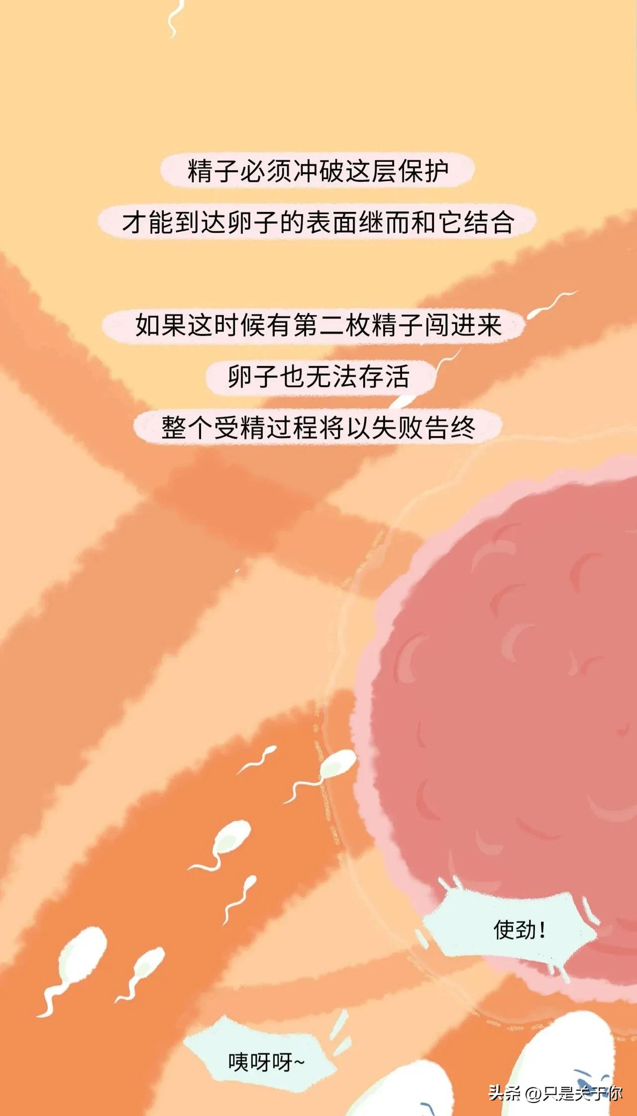 漫画：精子进入女生体内的全过程