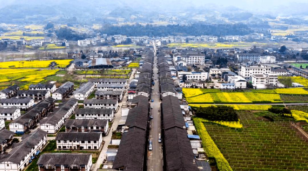 【富民兴村】芦山县青龙场村腾飞录‖李腾鹏