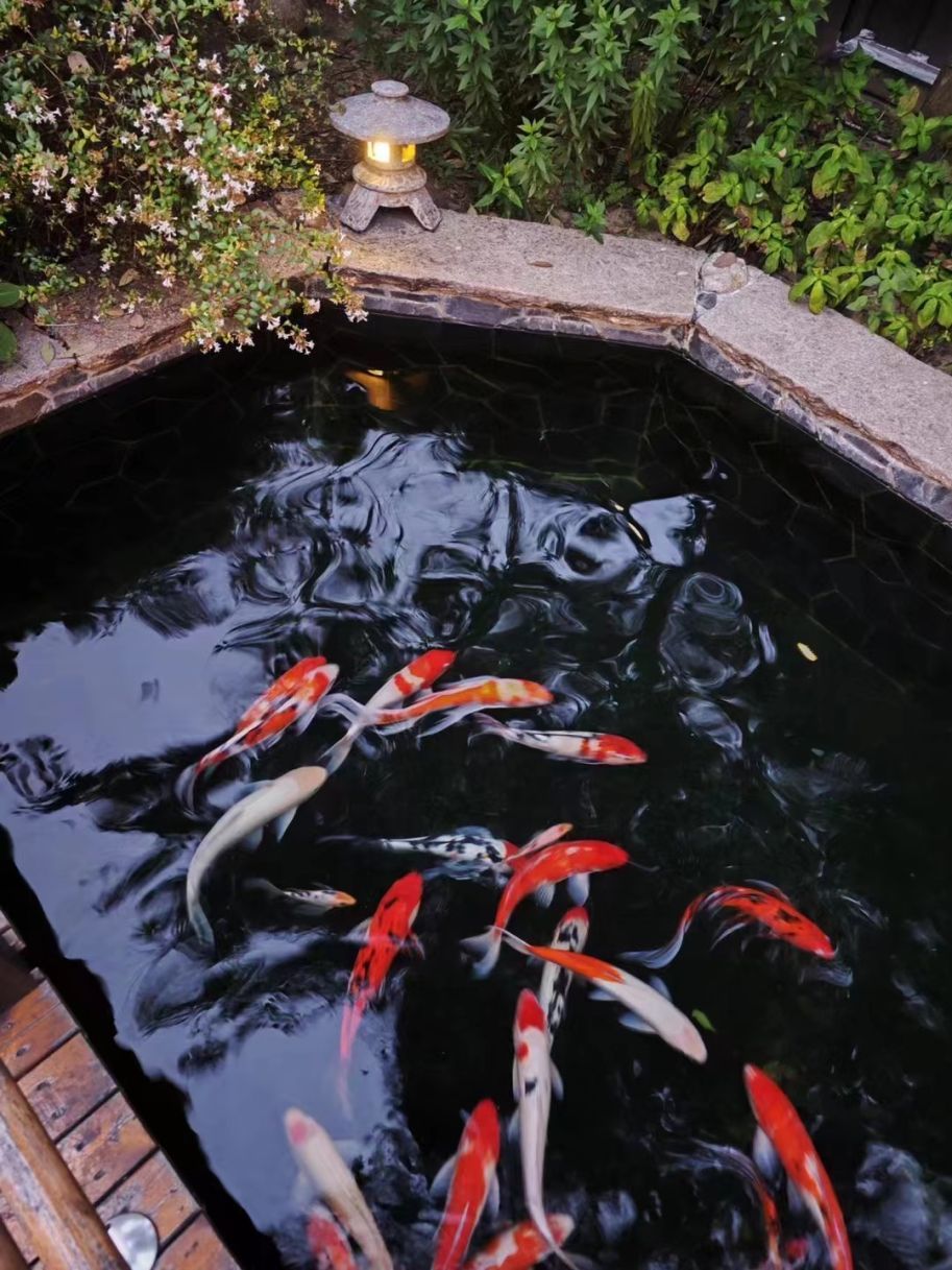 心动！那些藏在崇明民宿里的初秋小美好