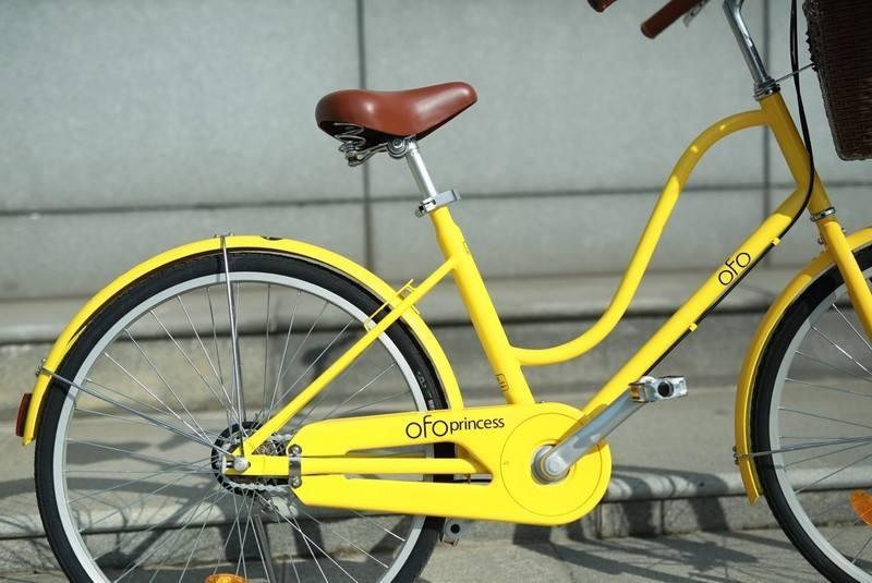 半年赚不到10万!爆火的骑行,扶不起中国最惨老字号