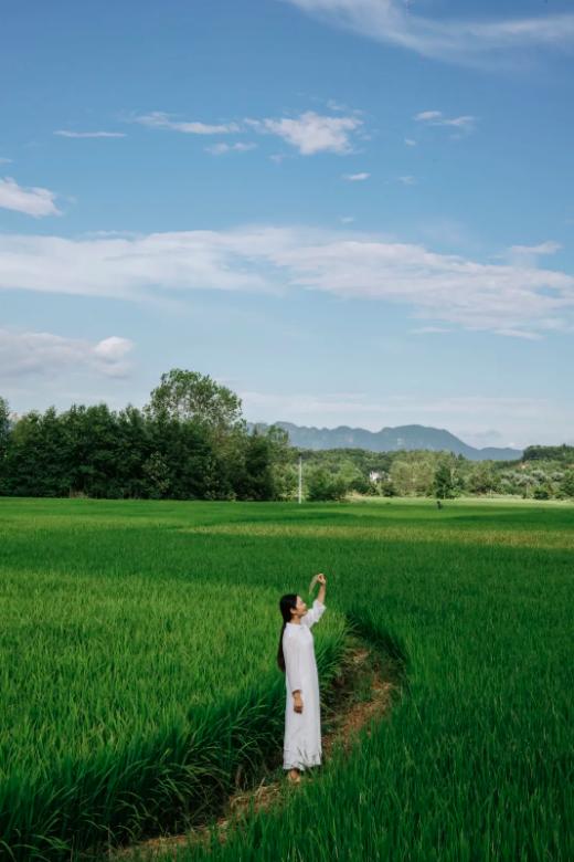 宏村小众景区,宏村山野小院