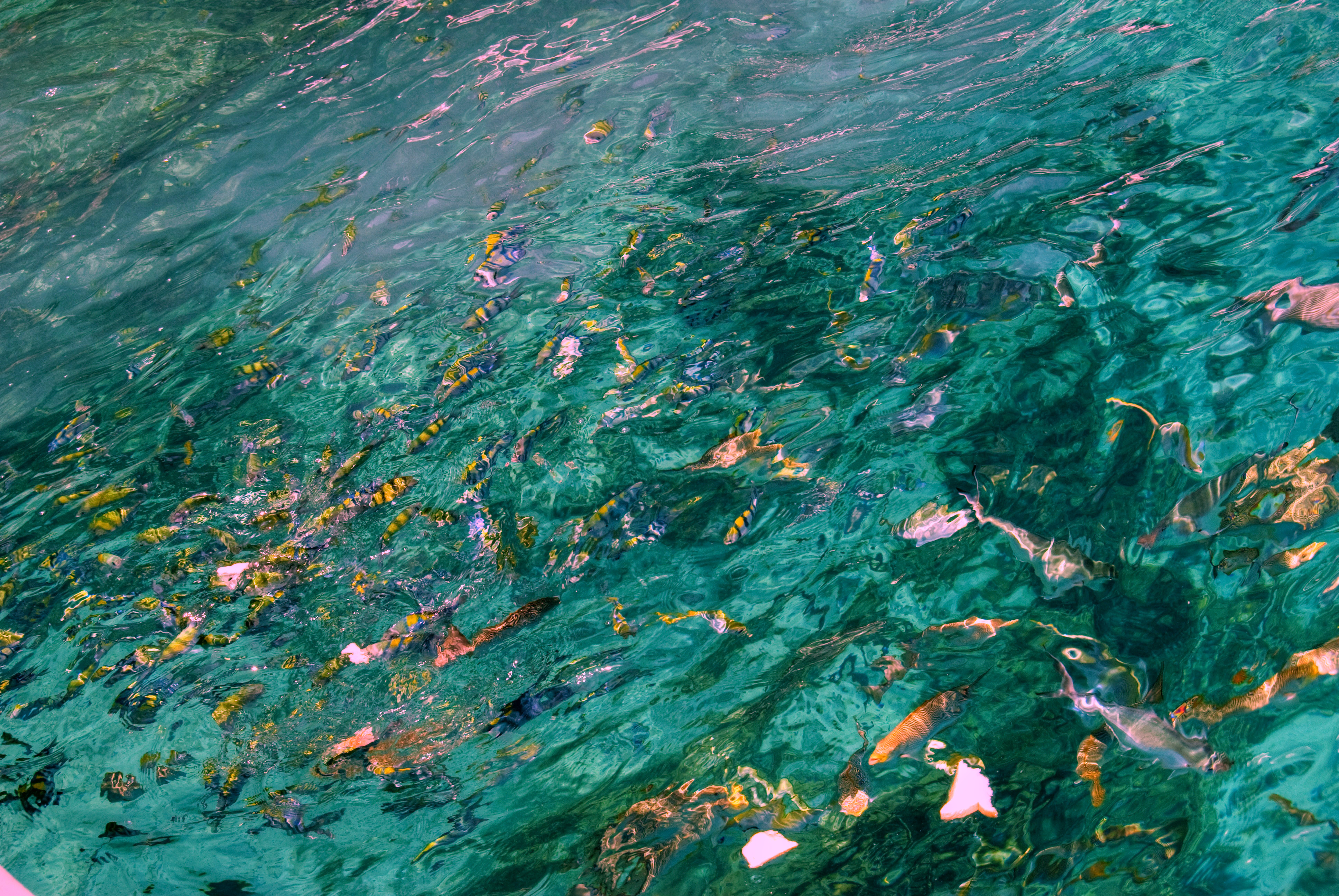 泰国三亚旅游对比,三亚和泰国旅游选择哪里