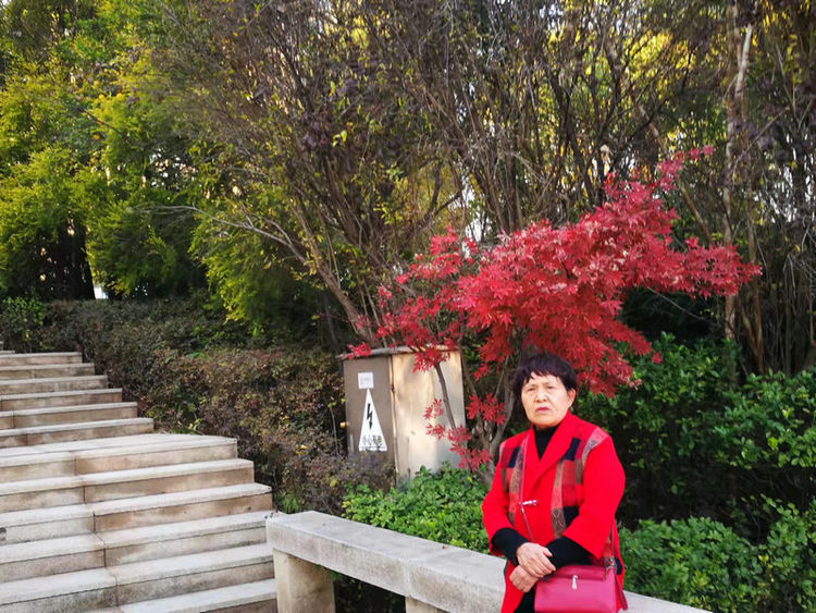 株洲市阳光新城,株洲魅力新城全景