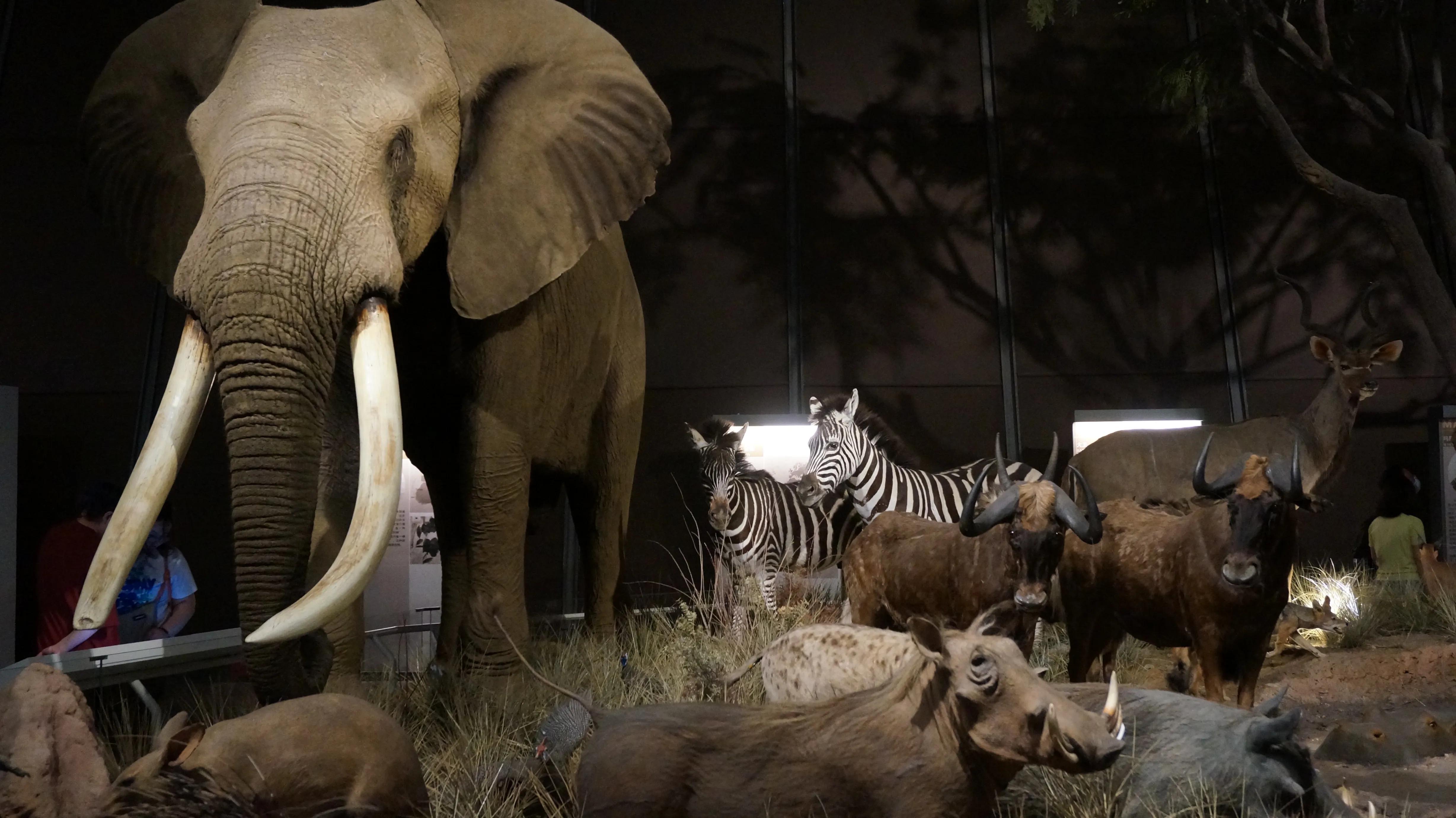 天津2天1晚游攻略夏天,天津2天1夜游攻略