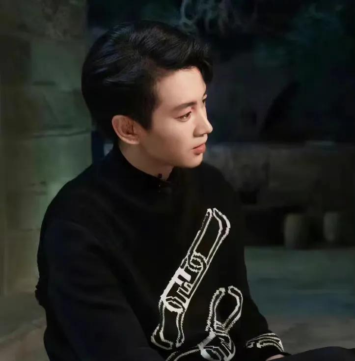 演员陈晓的作品有哪些,陈晓作品混剪