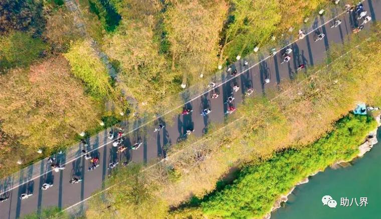 武汉必打卡的十大景点介绍,武汉南湖网红打卡景点