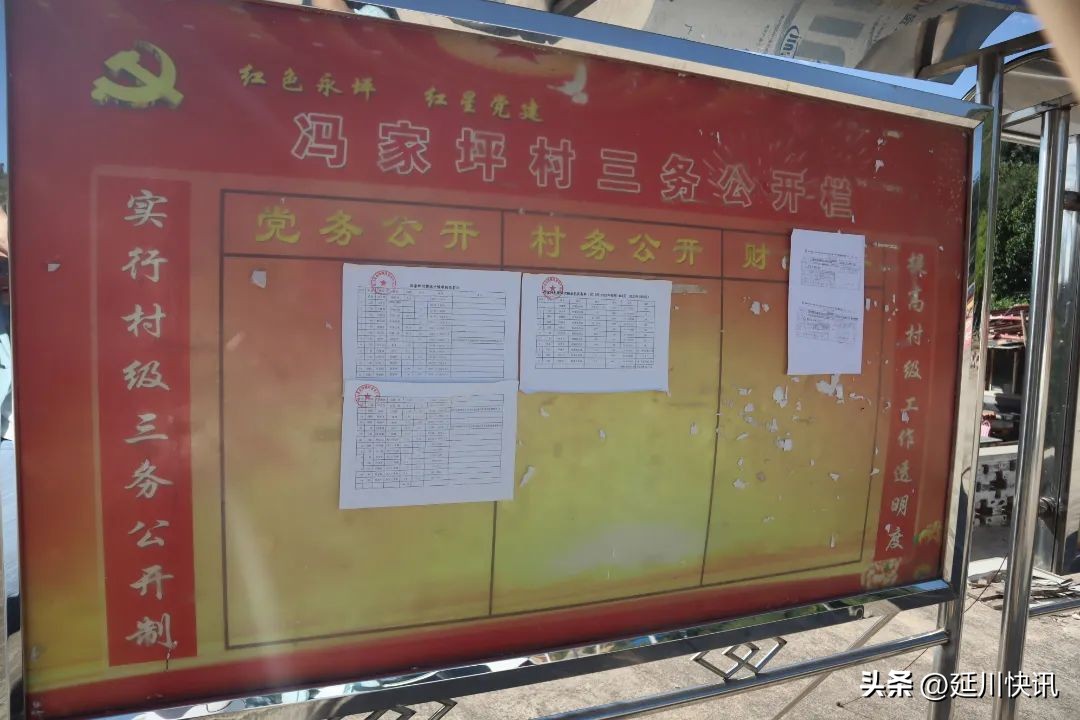 延川丨“唤醒”资源摸清“家底”！“三资”管理促振兴