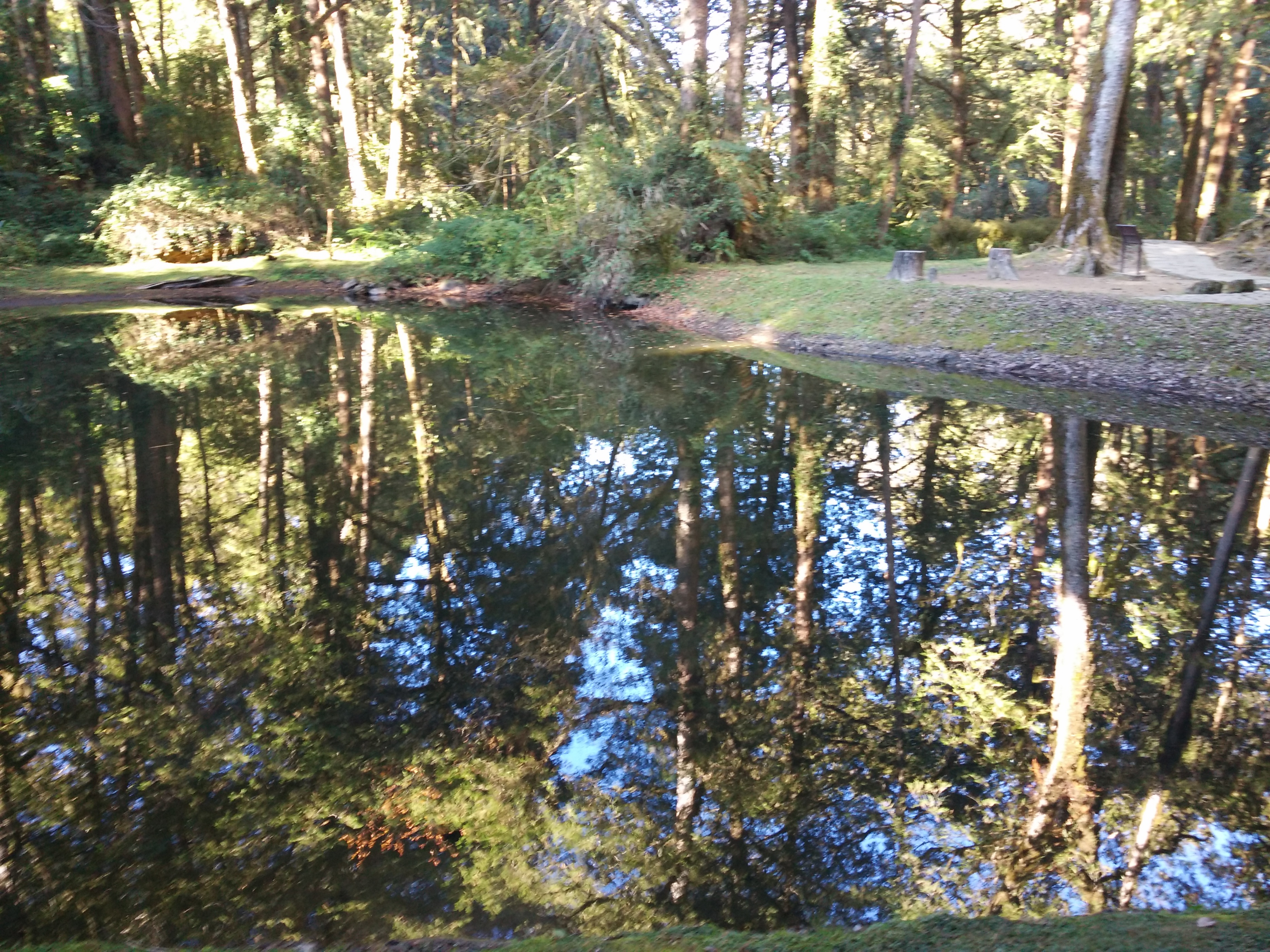 台湾游记作家,台湾游记小说