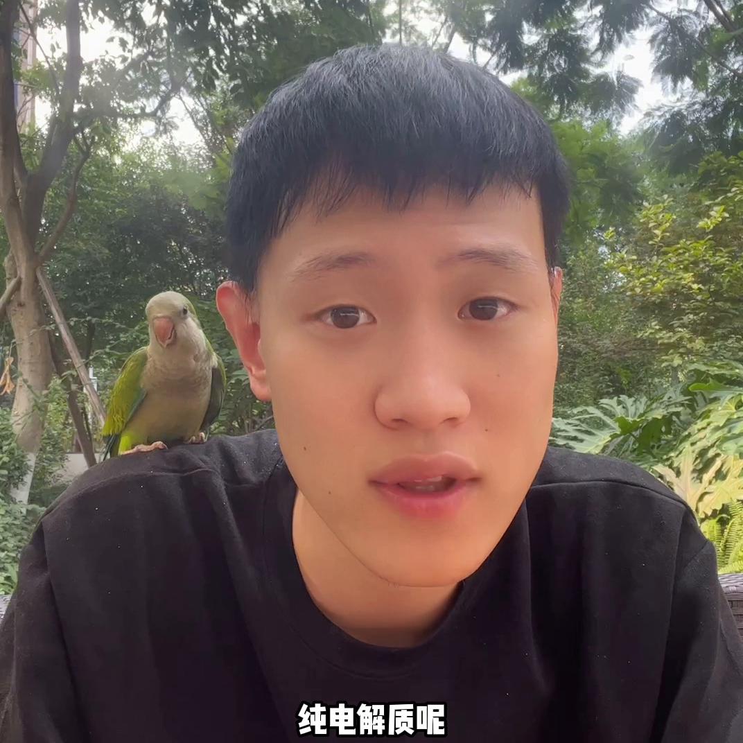 鹦鹉有必要喂电解质吗,鹦鹉喂食电解质幼鸟可以用吗