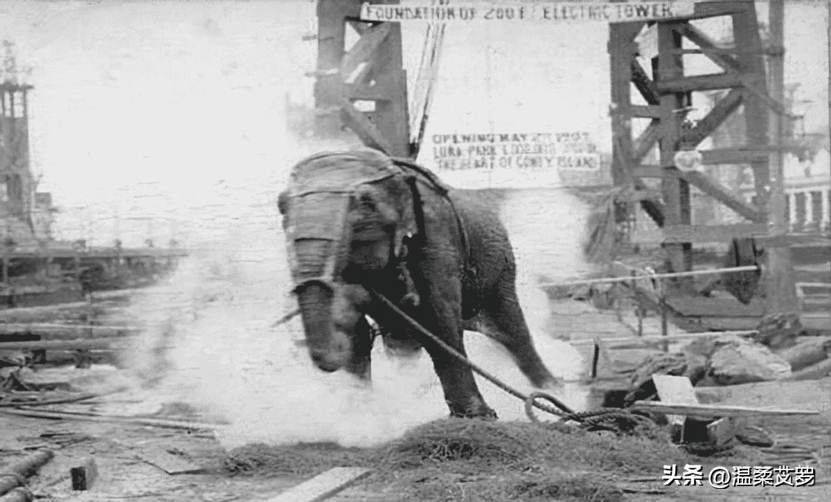 日军日记：路遇逃难的女学生，我将她的腿骨做成了锋利的*刀刺**!