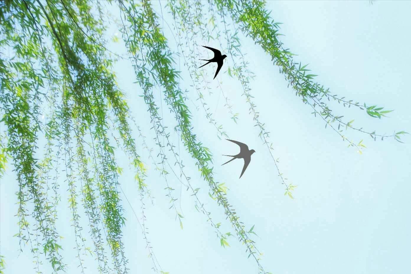 描写春天的古诗宋词有哪些,唐诗宋词鉴赏春天的美景有哪些