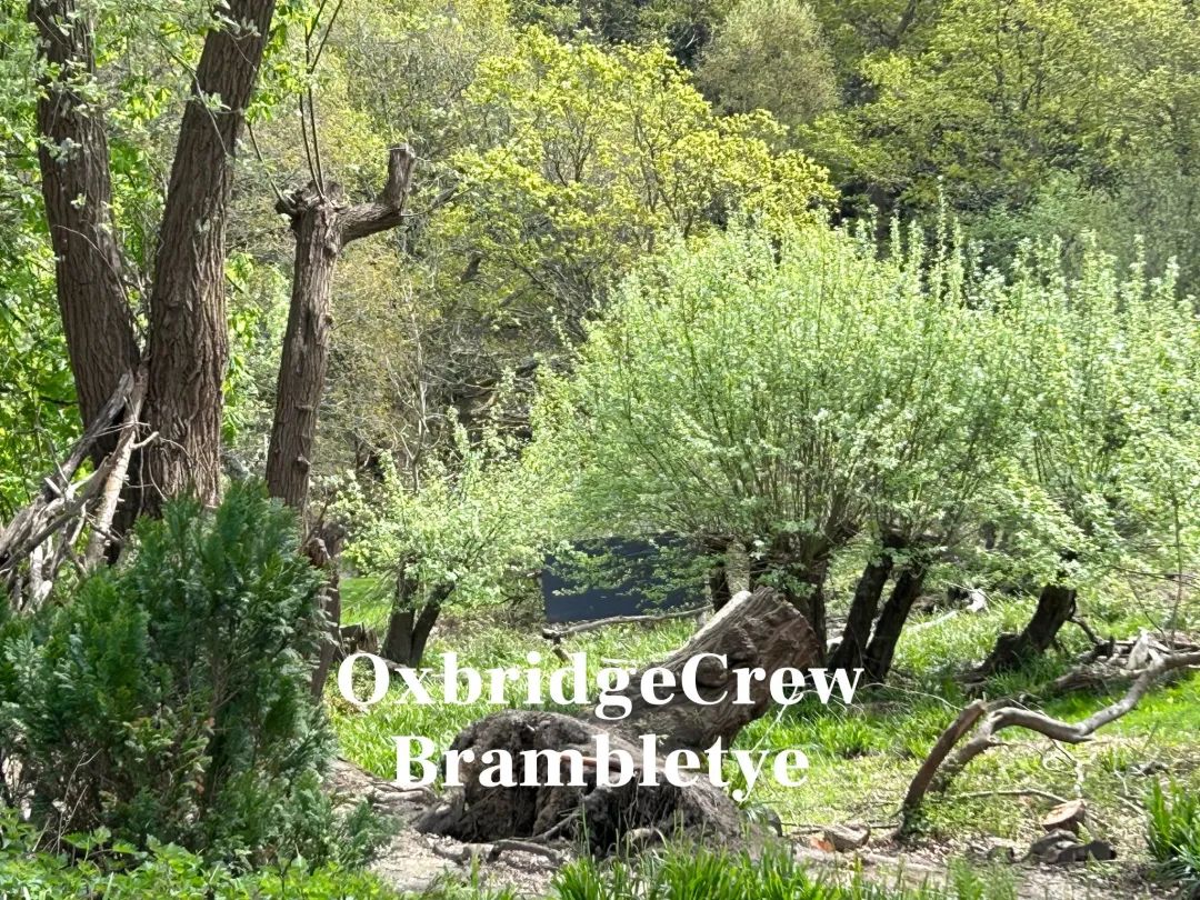 实地探访顶级私校摇篮Brambletye（布兰伯特预备学校）！