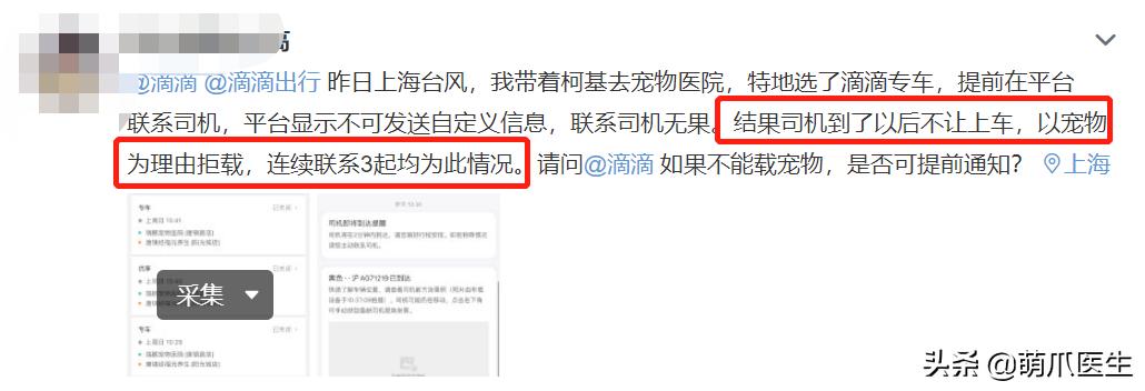 带猫网约车,带猫能打到网约车吗