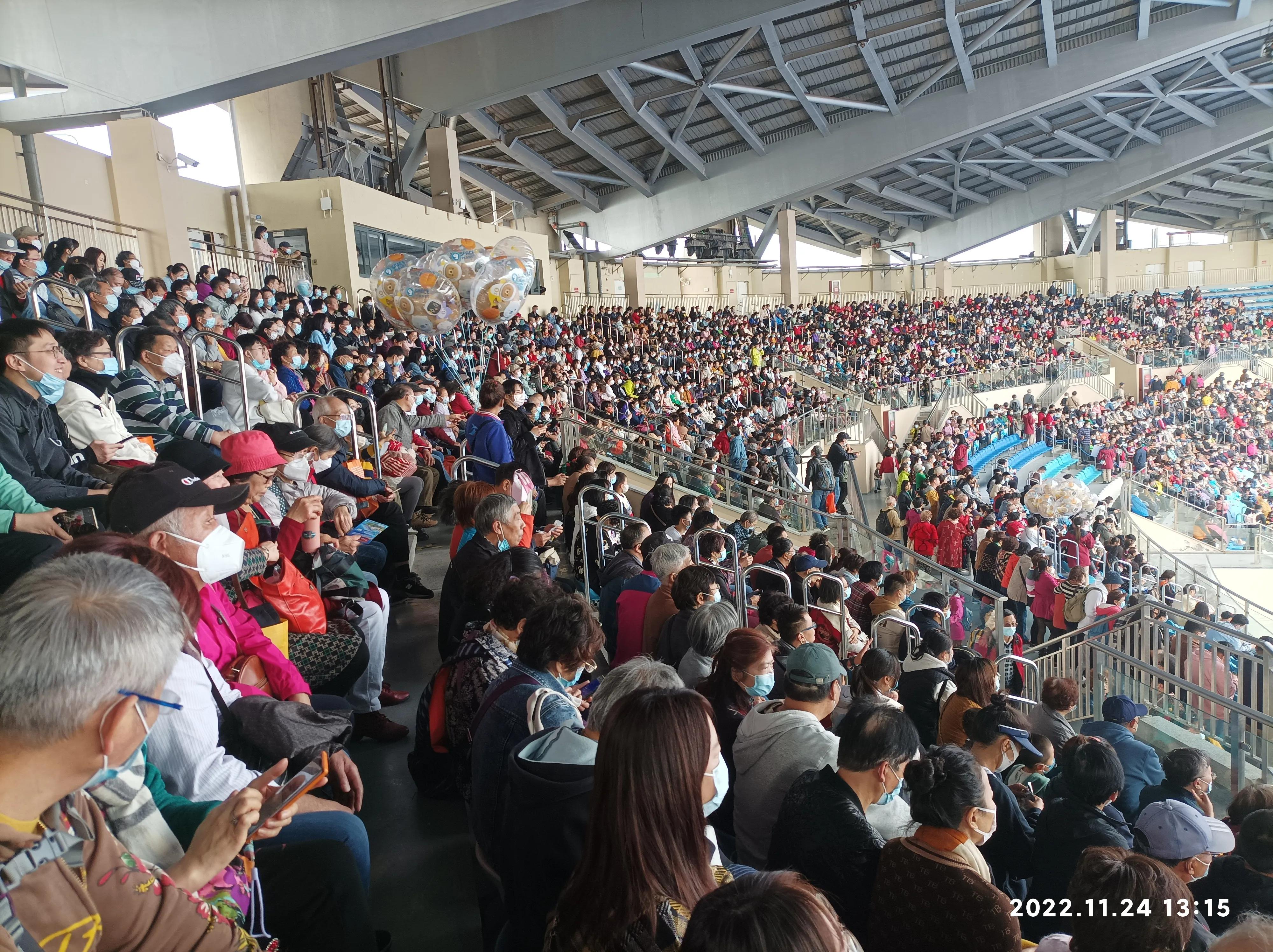 上海海昌海洋公园一日游vlog,上海海昌海洋公园一日游攻略虎鲸