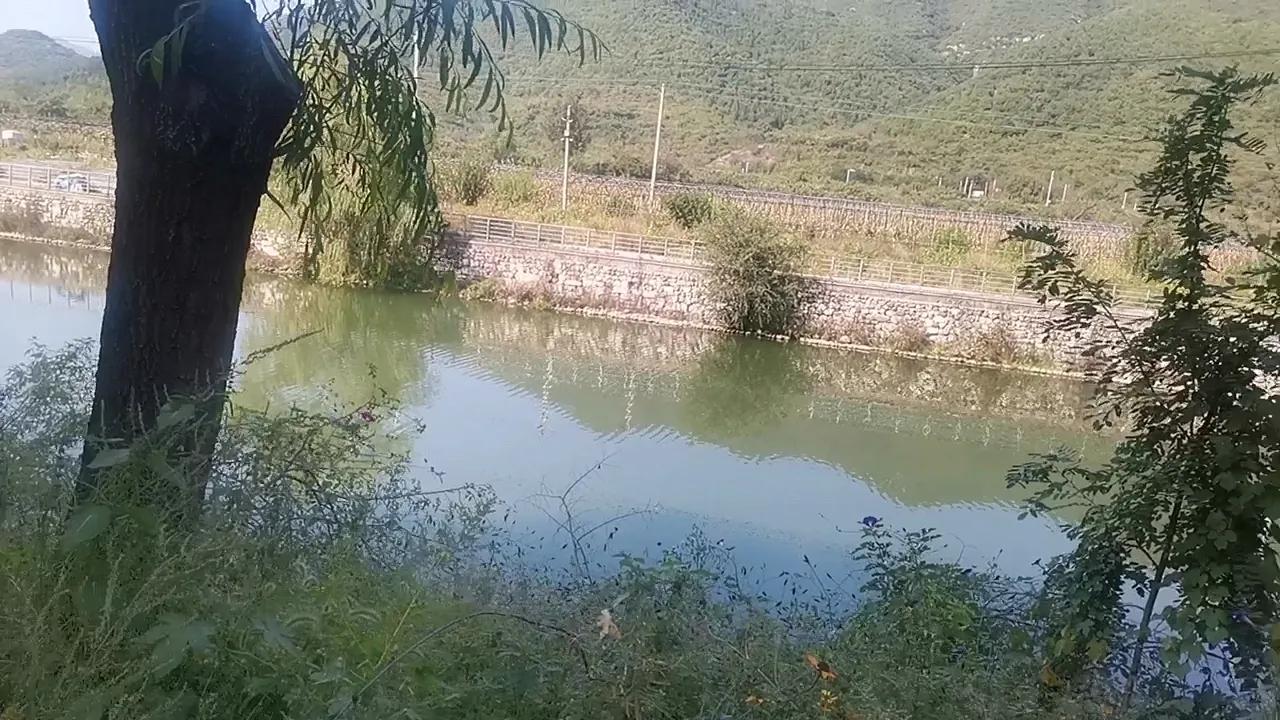 拇指化脓性感染护理问题,大拇指感染肿了消肿最快方法