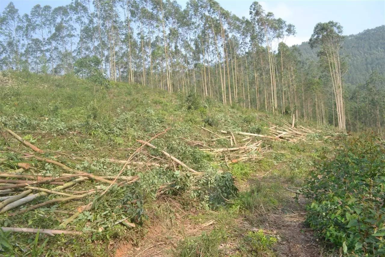 农村月入30万项目,在农村干什么项目赚钱