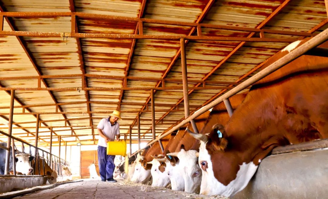 楂樺彴鍘块粦娉夐晣鑴辫传,閲戠墰璐峰姪鍏绘畺鎴峰疄鐜拌嚧瀵屾ⅵ