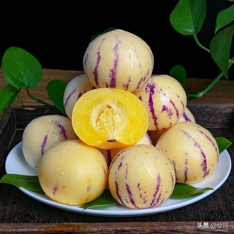 海南的水果特产有哪些？你知道几种？