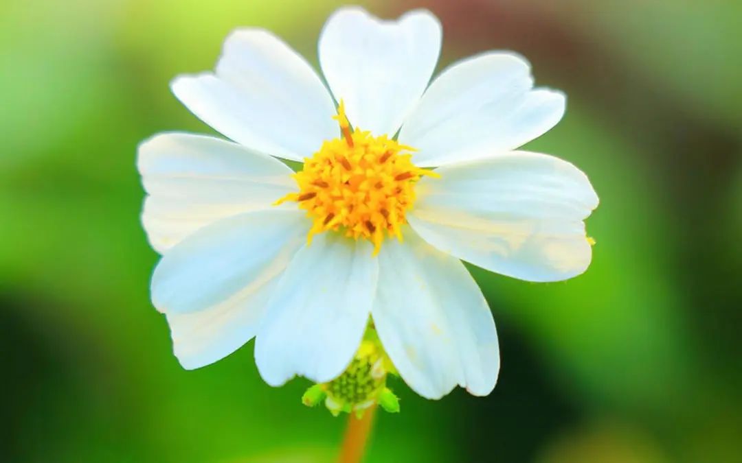 优美而有深度的句子,100条又短又好的好句子