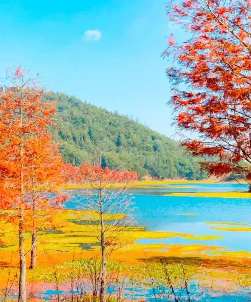 秋天的爱恋完整,秋天的爱恋