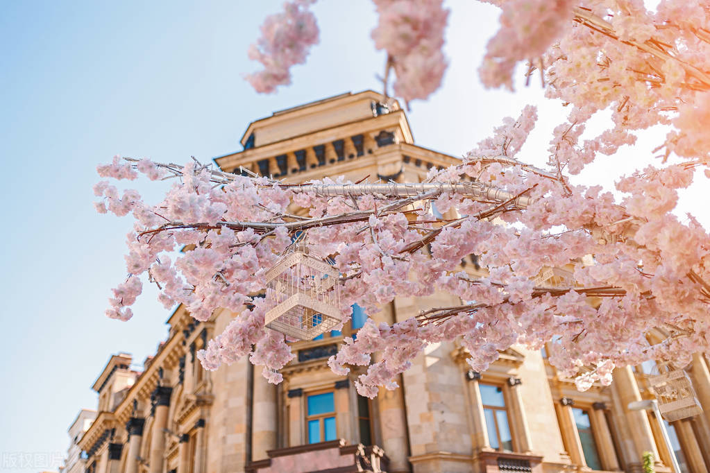 中国美女最多的三个城市,中国公认美女最多的三个城市