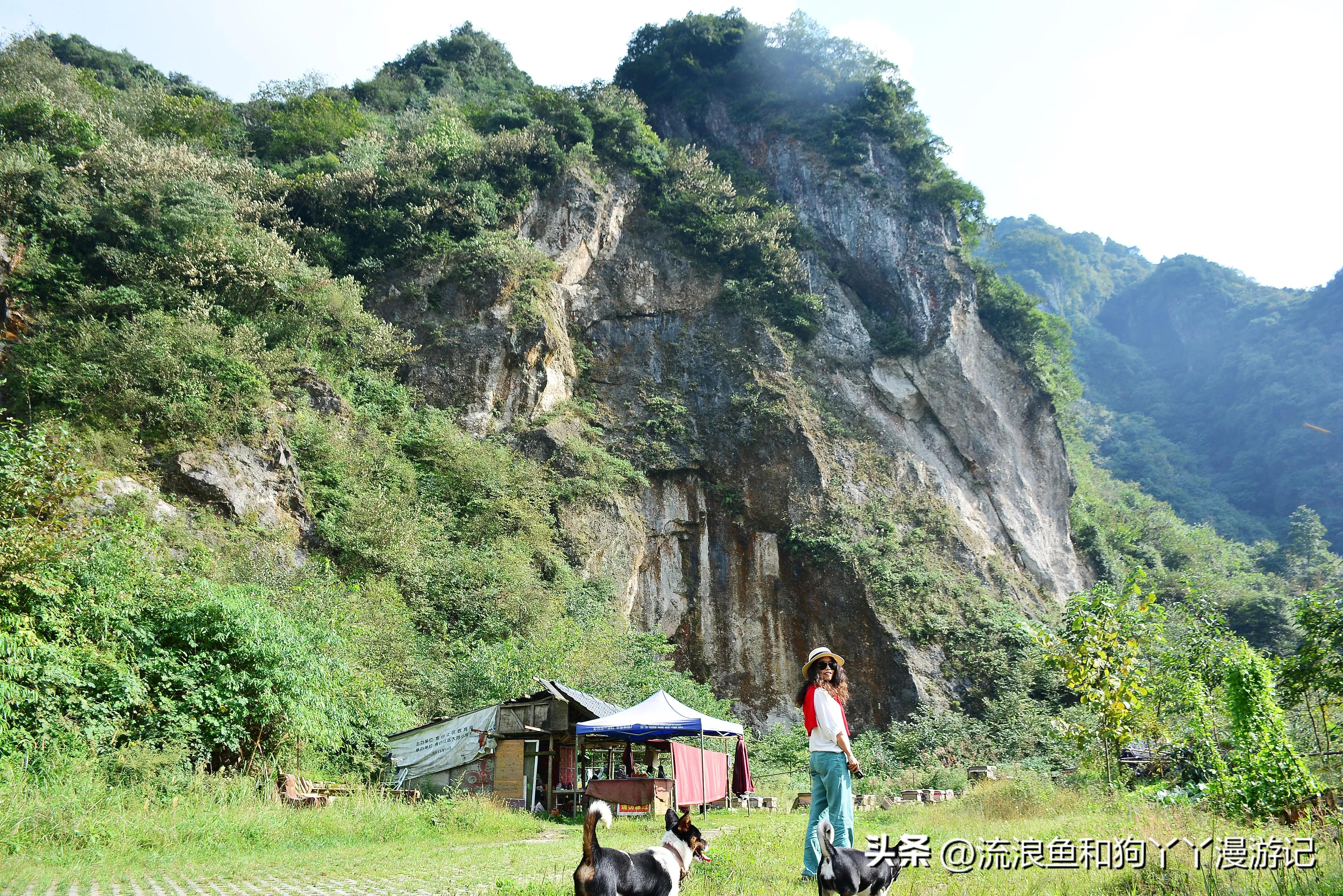 四月份成都近郊一日游好去处,2022成都近郊看雪一日游最佳去处