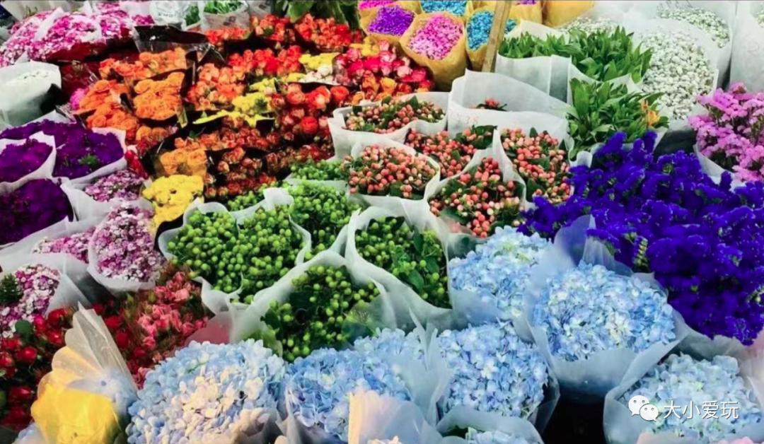 北京最美的花鸟市场,北京值得逛的花鸟市场