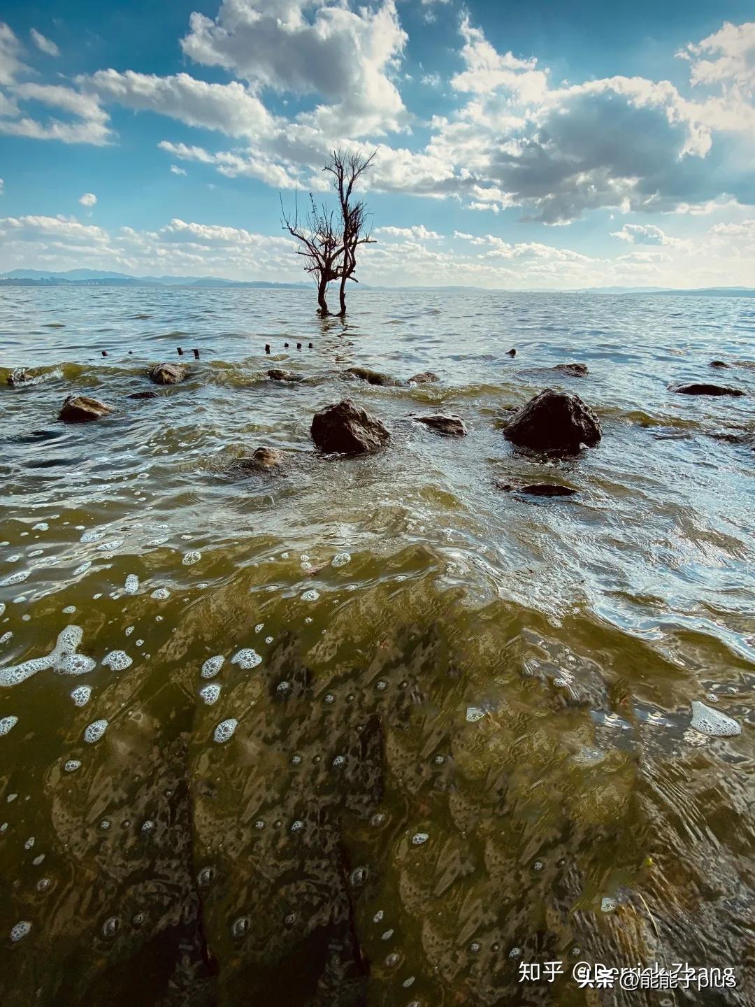 iphone12相机美颜怎么开,iphonex相机最佳设置