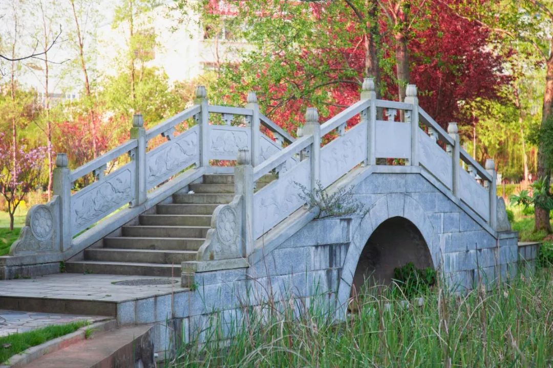 江西中医药大学最新排名,江西中医药大学是什么档次的学校