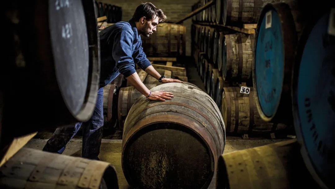 猪头桶,猪头桶是什么意思