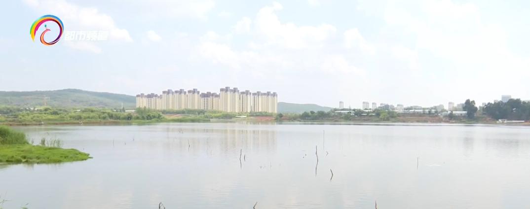 水库鱼死亡原因判断,水库捞鱼死亡水库有责任吗