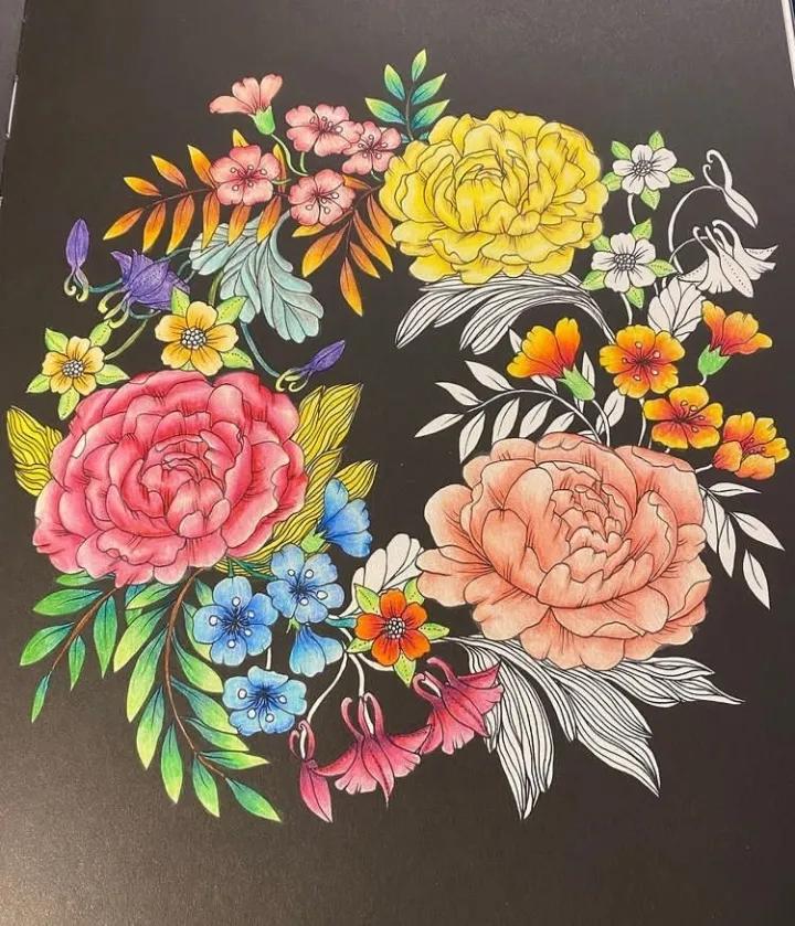 100幅初学者彩铅画花卉,100张新手彩铅临摹图片