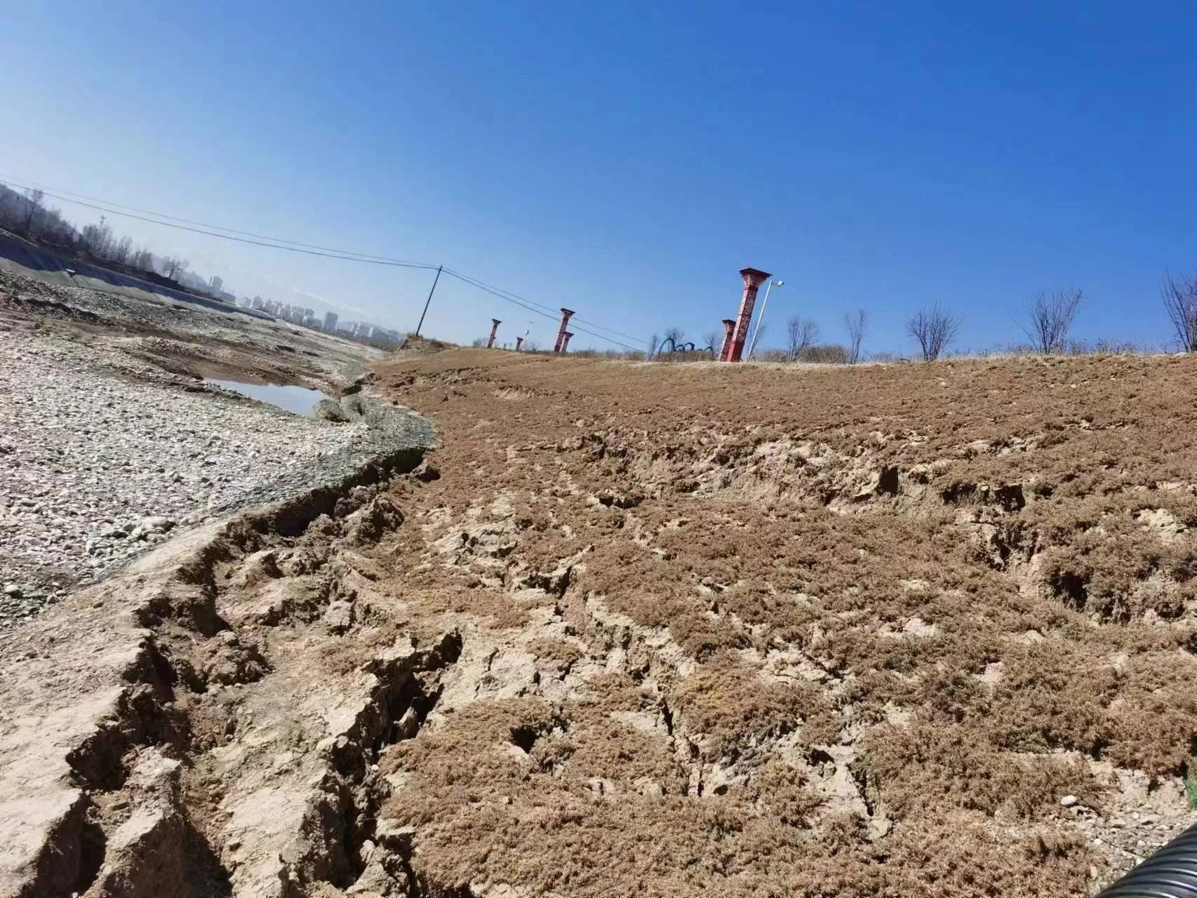 三抓三促行动下一步工作重点,三抓三促行动工作进展情况