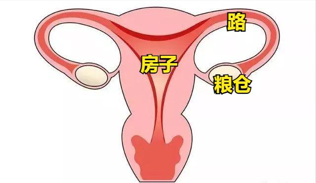 异常出血不干净是什么原因,不知道是月经还是异常出血怎么办