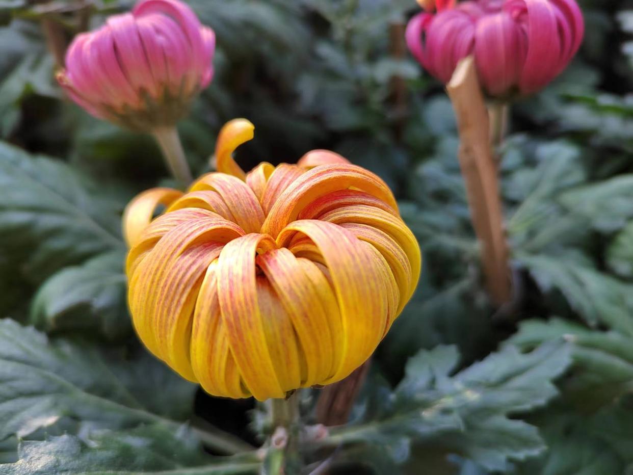 婚姻里什么才是女人的终极安全感,女人怎么样才能在婚姻里有安全感