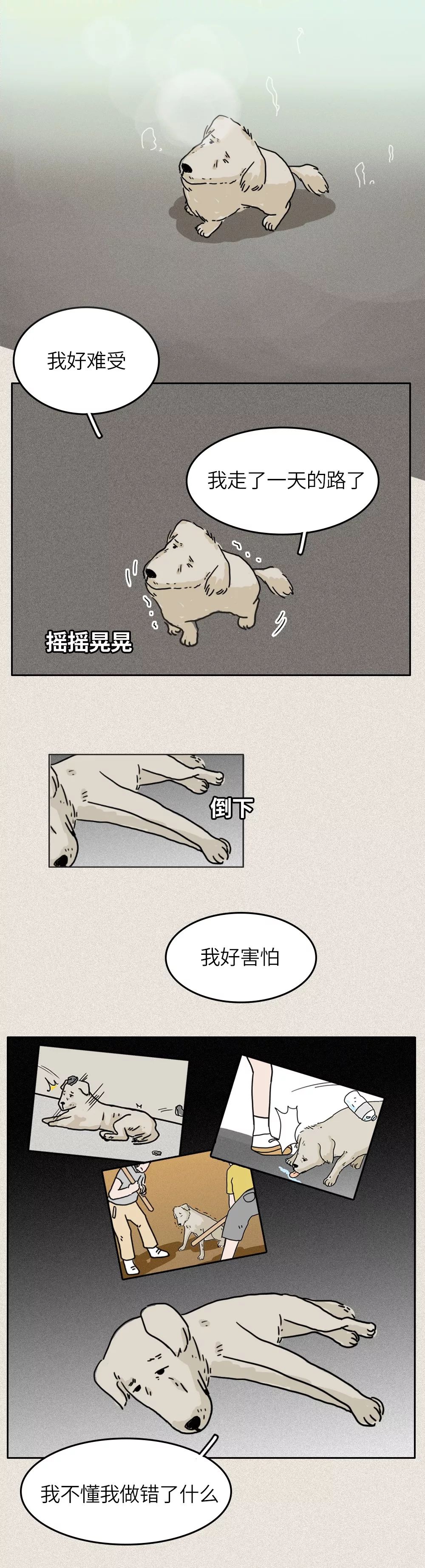 救救我36关怎么过,一只流浪狗自述